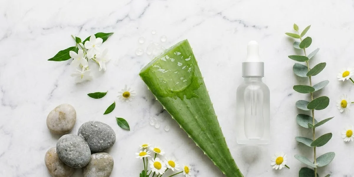Foglia di aloe vera fresca tagliata con gel trasparente su superficie bianca con prodotti skincare
